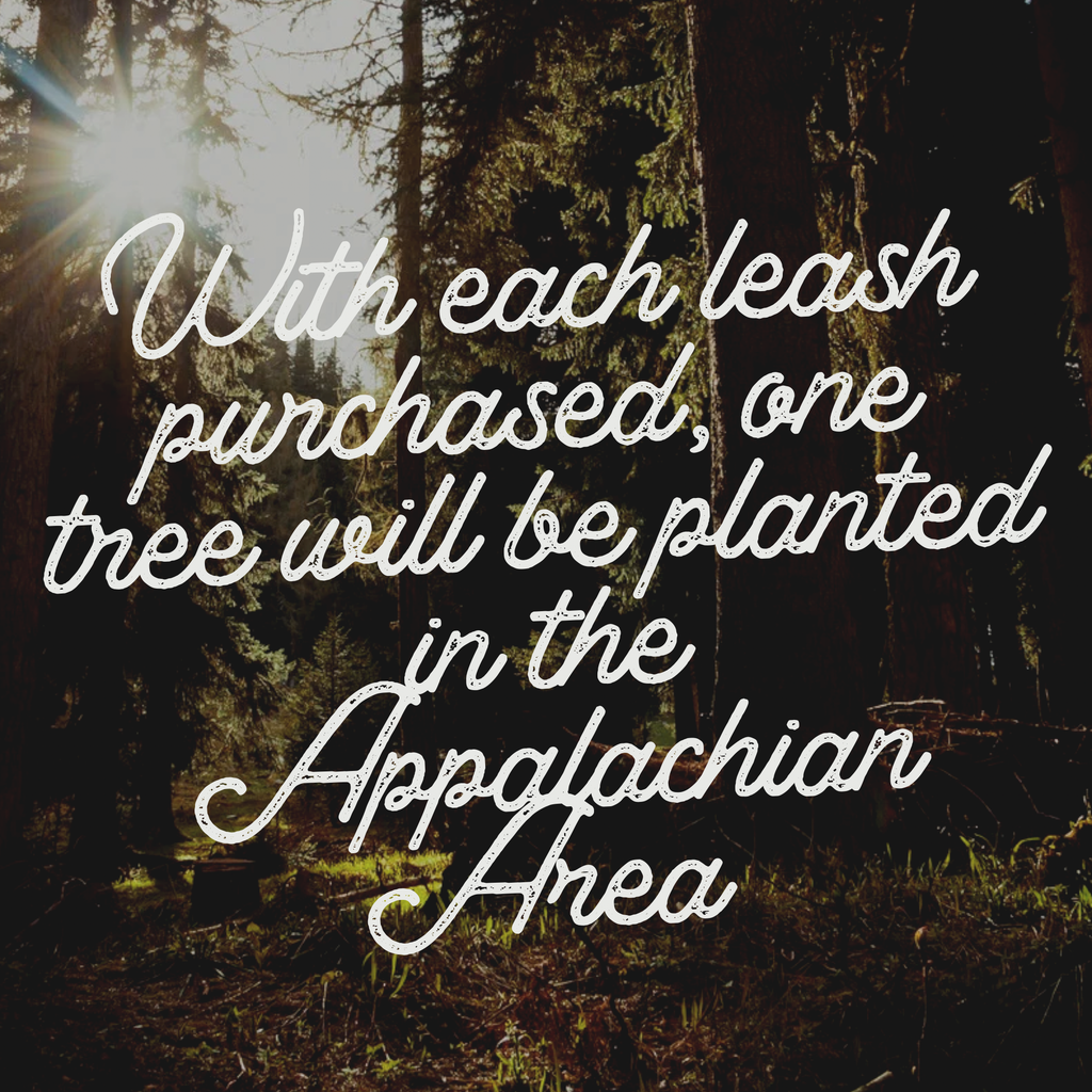 Sky Blue Leash: 4 Feet / Marbled / 3/8 Inch